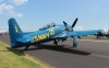 bearcat-001