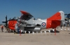 gannet-001