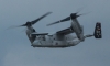 osprey-001
