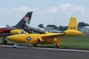 pinto-001