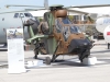 tiger-001