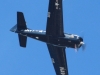 bearcat-001