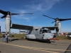 osprey-001