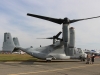osprey-002