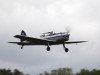 Chipmunk-001