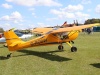 eurofox-002