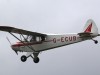 Cub-001