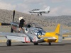 p51-008