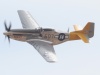 p51-016