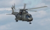 merlin-001