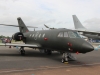 falcon-001