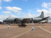 p3-001