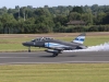 hawk-001