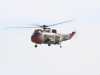 seaking-001
