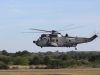 seaking-002