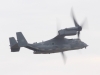 osprey-001