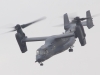 osprey-002