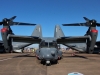osprey-003