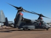 osprey-004