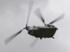 chinook-001