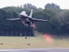 f16-008