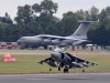 harrier-002
