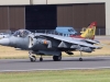 harrier-003
