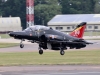 hawk-001