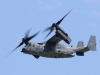 osprey-001