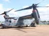 osprey-002