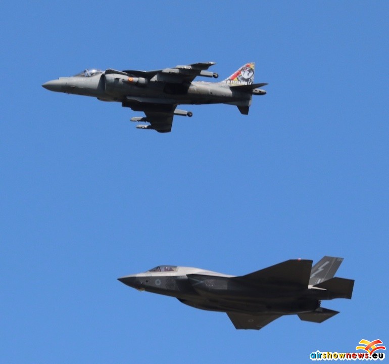 harrier-002