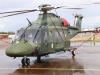 aw169-004