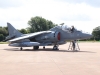 harrier-001