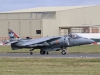 harrier-005