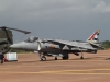 harrier-006