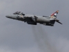 harrier-008