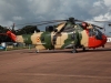 seaking-001