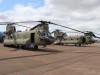 Chinook-001