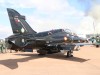 Hawk-001