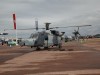 Lynx-002JPG