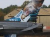 Belgian-F16