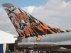 SpAF-Typhoon-fin