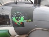 Wildcat