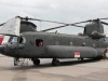 chinook-001
