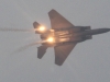 f15sg-003