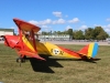 tiger-001