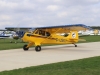 husky-001