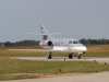falcon-001