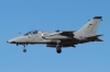 amx-002
