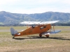 fox-moth-001